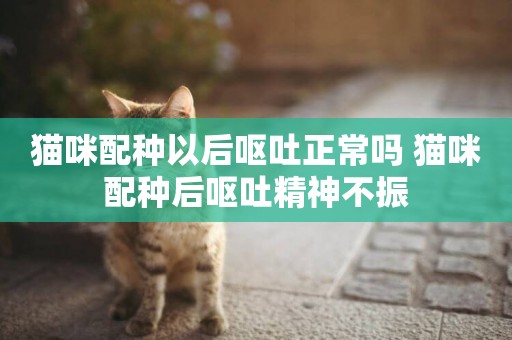 貓咪配種以后嘔吐正常嗎 貓咪配種后嘔吐精神不振