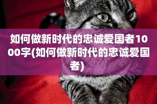 如何做新時代的忠誠愛國者1000字(如何做新時代的忠誠愛國者) 