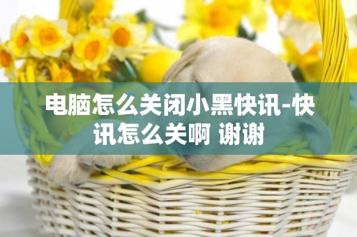 電腦怎么關閉小黑快訊-快訊怎么關啊 謝謝