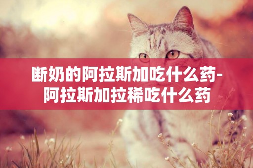 斷奶的阿拉斯加吃什么藥-阿拉斯加拉稀吃什么藥