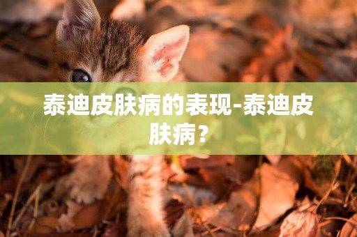 泰迪皮膚病的表現-泰迪皮膚病？
