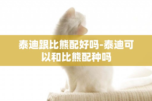 泰迪跟比熊配好嗎-泰迪可以和比熊配種嗎