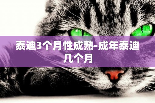 泰迪3個月性成熟-成年泰迪幾個月