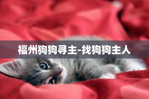 福州狗狗尋主-找狗狗主人