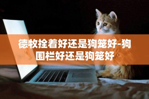 德牧拴著好還是狗籠好-狗圍欄好還是狗籠好