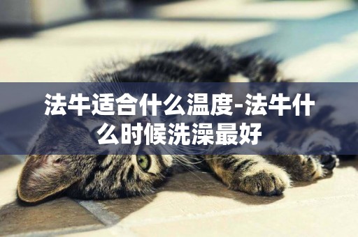 法牛適合什么溫度-法牛什么時候洗澡最好