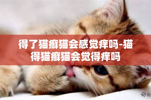 得了貓癬貓會感覺癢嗎-貓得貓癬貓會覺得癢嗎