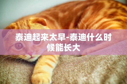 泰迪起來太早-泰迪什么時候能長大