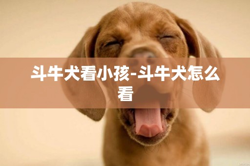 斗牛犬看小孩-斗牛犬怎么看