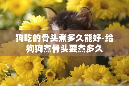 狗吃的骨頭煮多久能好-給狗狗煮骨頭要煮多久