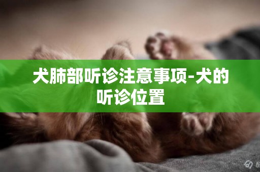 犬肺部聽診注意事項-犬的聽診位置
