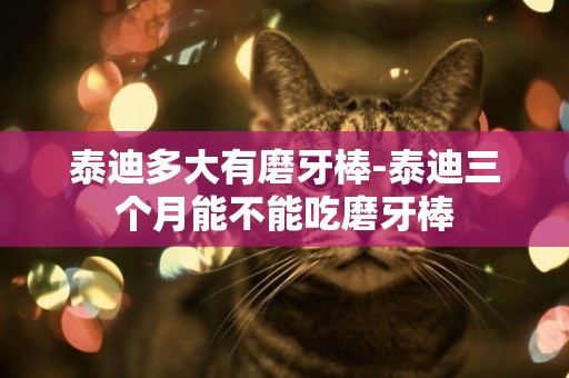 泰迪多大有磨牙棒-泰迪三個月能不能吃磨牙棒