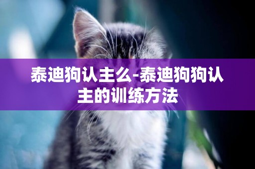 泰迪狗認主么-泰迪狗狗認主的訓練方法