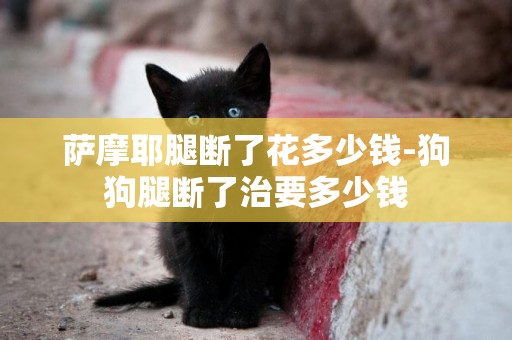 薩摩耶腿斷了花多少錢-狗狗腿斷了治要多少錢