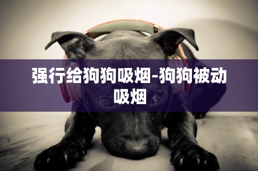 強行給狗狗吸煙-狗狗被動吸煙