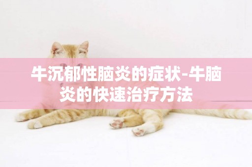 牛沉郁性腦炎的癥狀-牛腦炎的快速治療方法