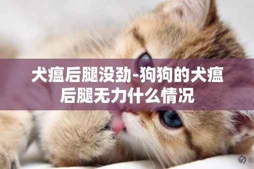 犬瘟后腿沒勁-狗狗的犬瘟后腿無力什么情況
