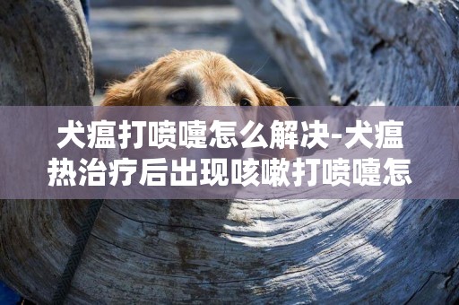 犬瘟打噴嚏怎么解決-犬瘟熱治療后出現咳嗽打噴嚏怎么辦？