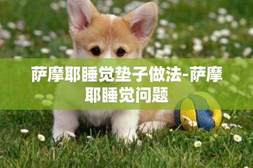 薩摩耶睡覺墊子做法-薩摩耶睡覺問題