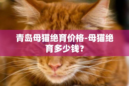 青島母貓絕育價格-母貓絕育多少錢？