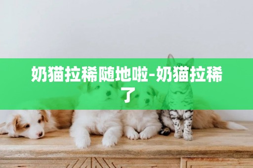 奶貓拉稀隨地啦-奶貓拉稀了