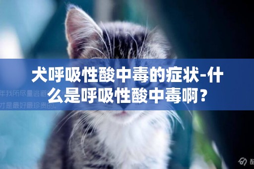 犬呼吸性酸中毒的癥狀-什么是呼吸性酸中毒啊？