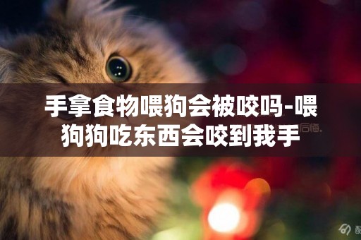 手拿食物喂狗會被咬嗎-喂狗狗吃東西會咬到我手