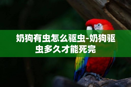 奶狗有蟲怎么驅蟲-奶狗驅蟲多久才能死完