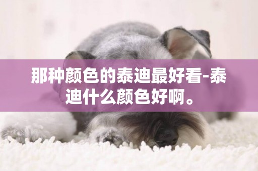 那種顏色的泰迪最好看-泰迪什么顏色好啊。