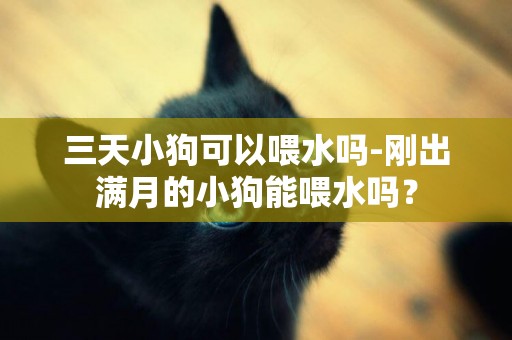 三天小狗可以喂水嗎-剛出滿月的小狗能喂水嗎？