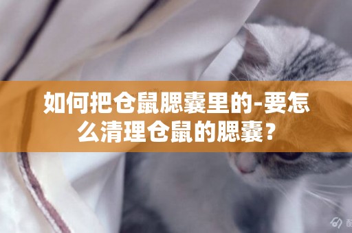 如何把倉鼠腮囊里的-要怎么清理倉鼠的腮囊？