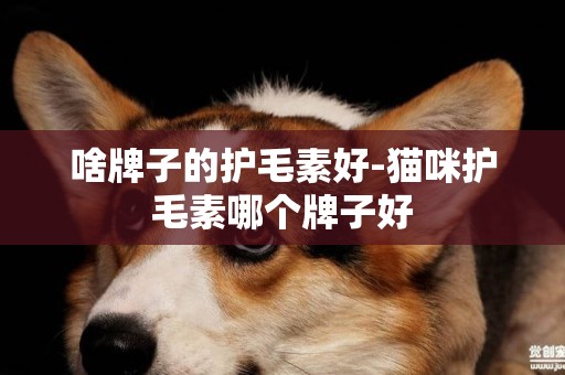 啥牌子的護毛素好-貓咪護毛素哪個牌子好