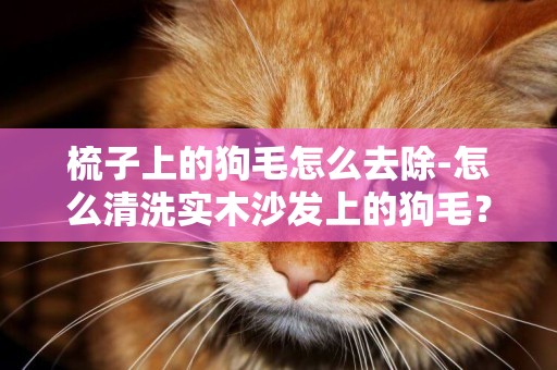 梳子上的狗毛怎么去除-怎么清洗實木沙發上的狗毛？
