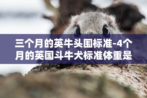 三個月的英牛頭圍標準-4個月的英國斗牛犬標準體重是多少?