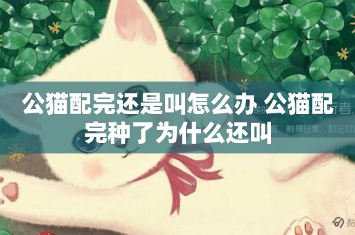 公貓配完還是叫怎么辦 公貓配完種了為什么還叫