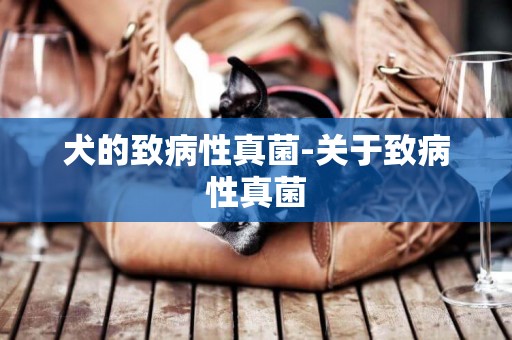 犬的致病性真菌-關于致病性真菌