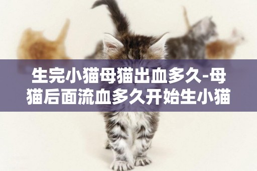 生完小貓母貓出血多久-母貓后面流血多久開始生小貓