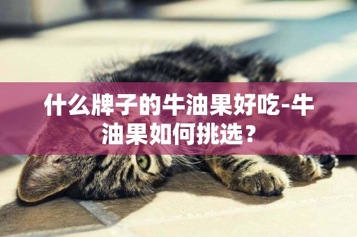 什么牌子的牛油果好吃-牛油果如何挑選？