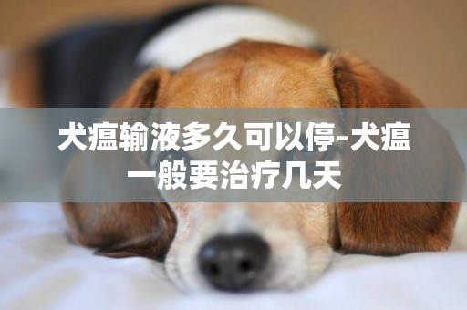 犬瘟輸液多久可以停-犬瘟一般要治療幾天