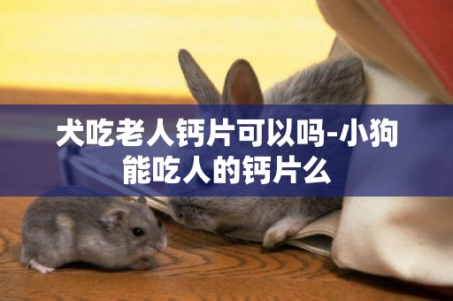 犬吃老人鈣片可以嗎-小狗能吃人的鈣片么