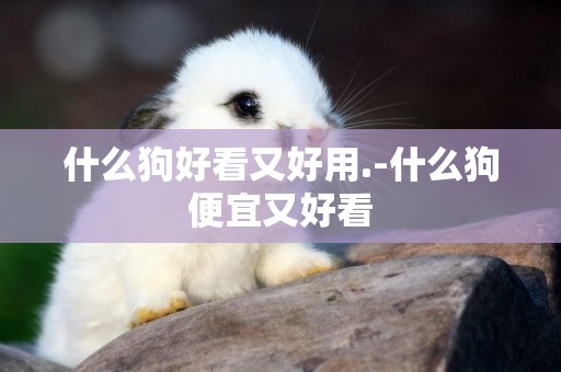 什么狗好看又好用.-什么狗便宜又好看