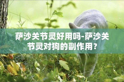 薩沙關節靈好用嗎-薩沙關節靈對狗的副作用？