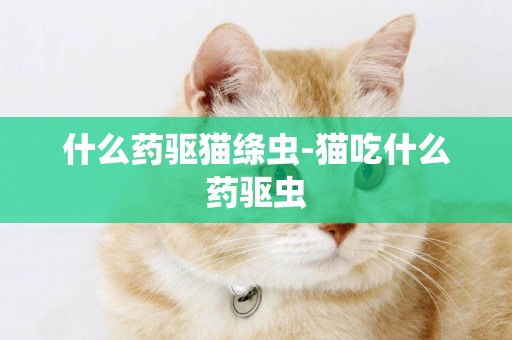 什么藥驅貓絳蟲-貓吃什么藥驅蟲