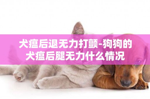 犬瘟后退無力打顫-狗狗的犬瘟后腿無力什么情況