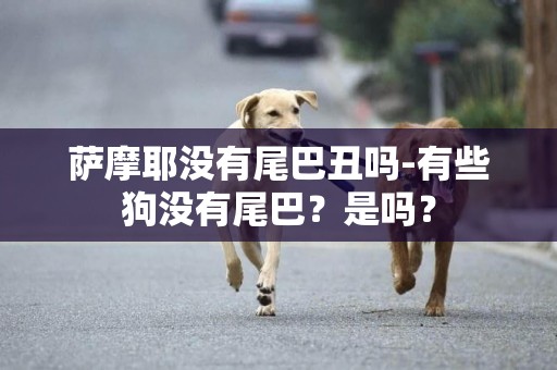 薩摩耶沒有尾巴丑嗎-有些狗沒有尾巴？是嗎？