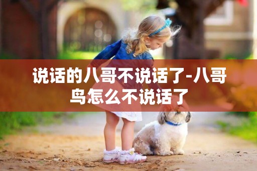 說話的八哥不說話了-八哥鳥怎么不說話了