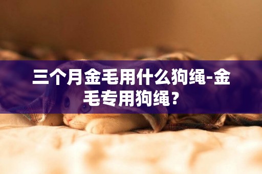 三個月金毛用什么狗繩-金毛專用狗繩？