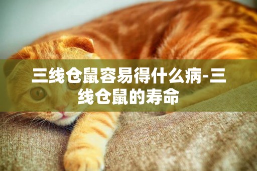 三線倉鼠容易得什么病-三線倉鼠的壽命