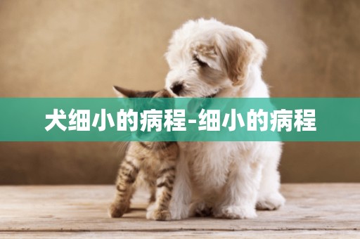 犬細小的病程-細小的病程