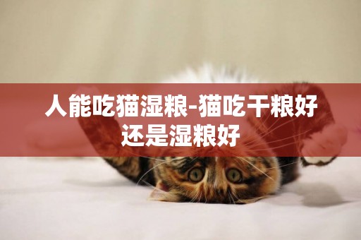 人能吃貓濕糧-貓吃干糧好還是濕糧好